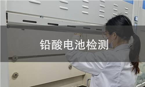 鉛酸電池檢測(cè)