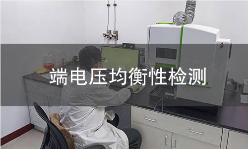 端電壓均衡性檢測