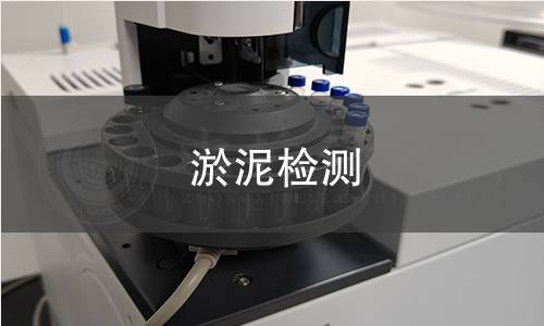 淤泥檢測