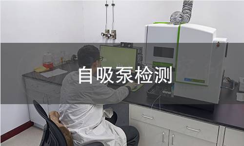 自吸泵檢測
