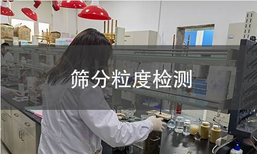 篩分粒度檢測