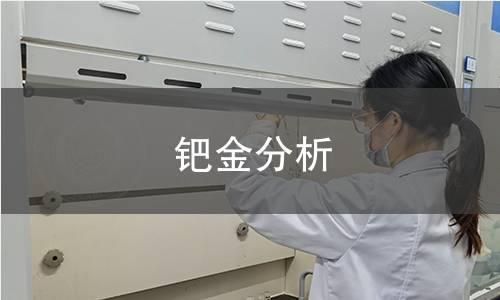 鈀金分析
