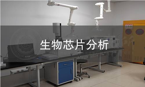 生物芯片分析