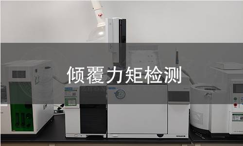 傾覆力矩檢測