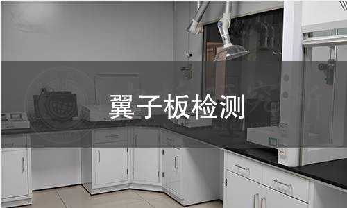 翼子板檢測