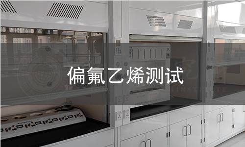 偏氟乙烯測試