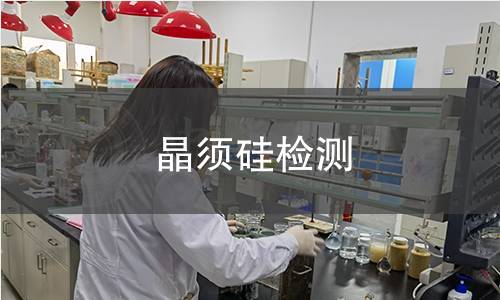 晶須硅檢測(cè)