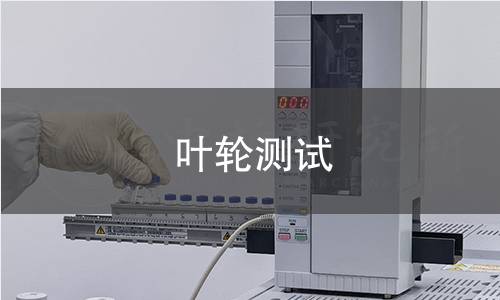葉輪測試