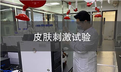皮膚刺激試驗