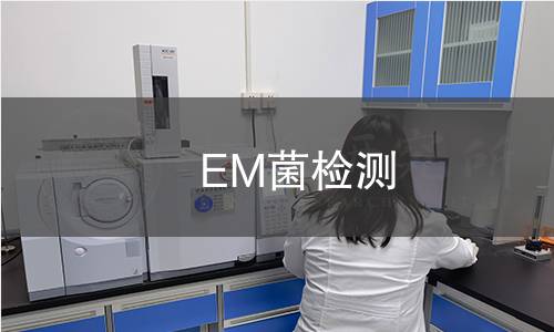EM菌檢測