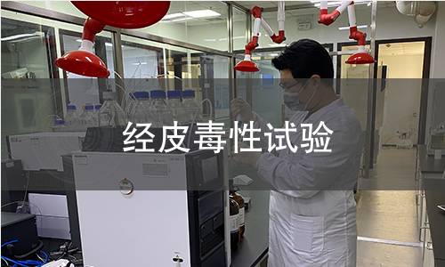 經(jīng)皮毒性試驗(yàn)