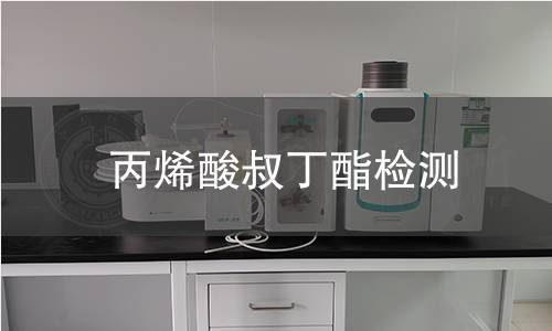 丙烯酸叔丁酯檢測(cè)