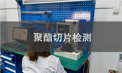 聚酯切片檢測