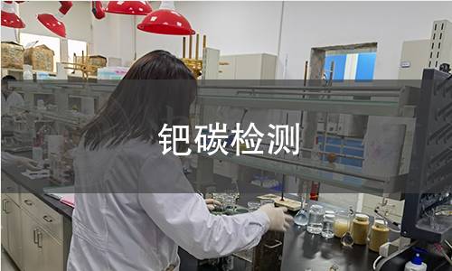 鈀碳檢測(cè)