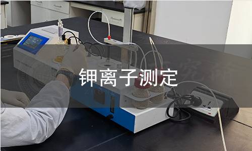 鉀離子測(cè)定