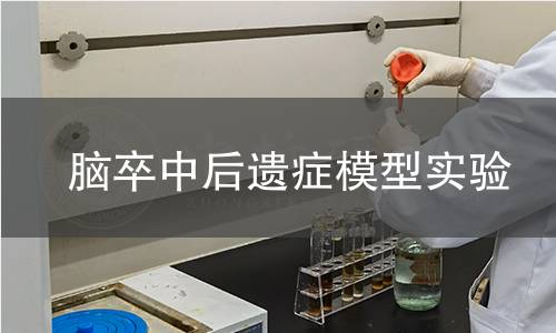 腦卒中后遺癥模型實驗