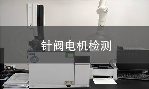 針閥電機(jī)檢測(cè)