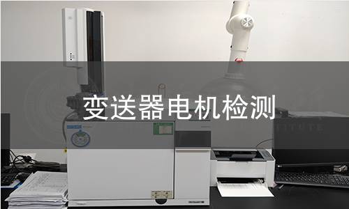 變送器電機(jī)檢測(cè)