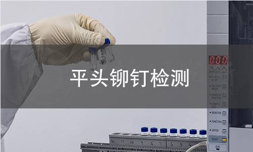 平頭鉚釘檢測