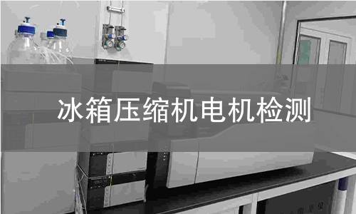 冰箱壓縮機電機檢測