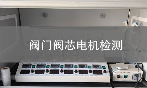 閥門閥芯電機(jī)檢測(cè)