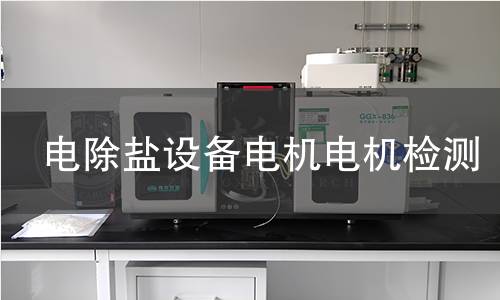 電除鹽設(shè)備電機(jī)檢測