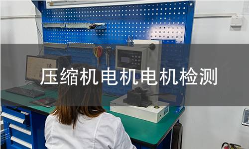 壓縮機(jī)電機(jī)檢測