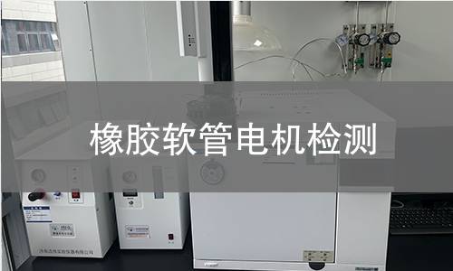 橡膠軟管電機(jī)檢測(cè)