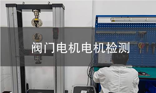 閥門電機(jī)檢測(cè)