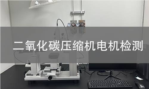 二氧化碳?jí)嚎s機(jī)電機(jī)檢測(cè)