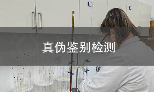 真?zhèn)舞b別檢測