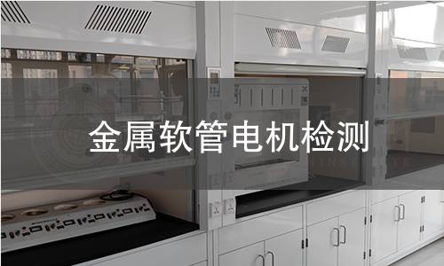 金屬軟管電機(jī)檢測(cè)