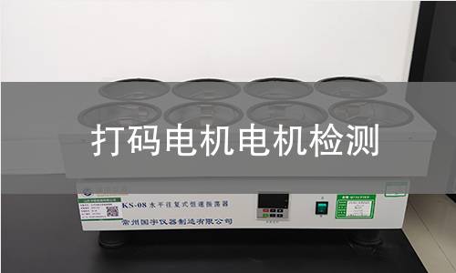 打碼電機檢測