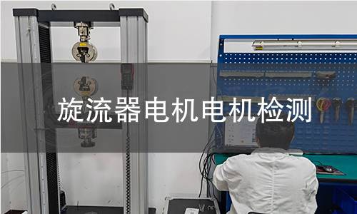 旋流器電機(jī)檢測(cè)