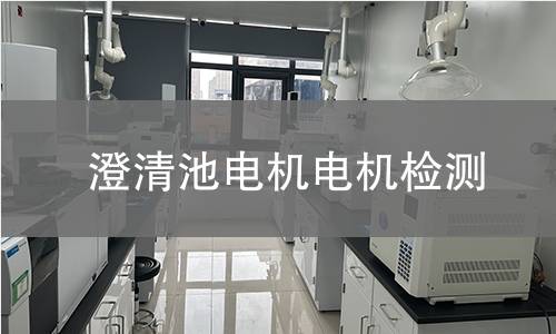 澄清池電機(jī)檢測(cè)