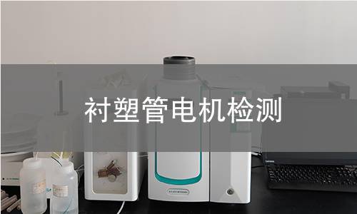 襯塑管電機(jī)檢測