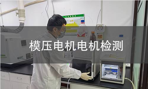 模壓電機(jī)檢測(cè)