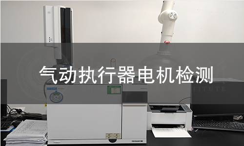 氣動執(zhí)行器電機檢測