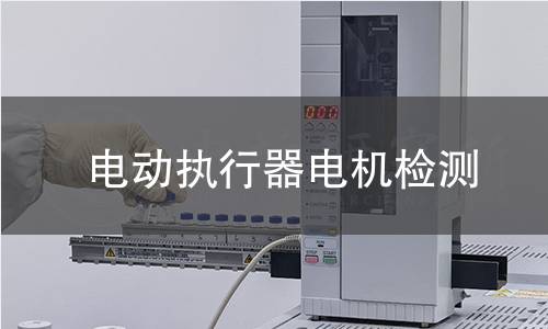 電動執(zhí)行器電機檢測