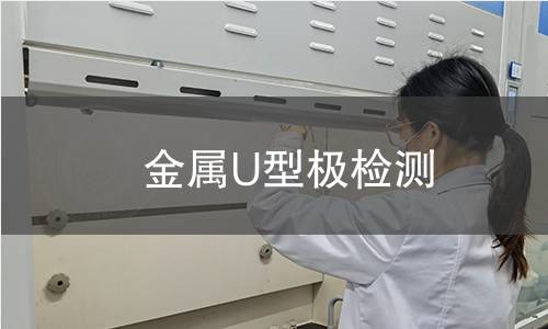 金屬U型極檢測