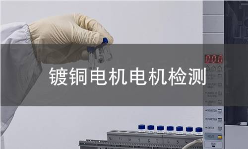 鍍銅電機(jī)檢測(cè)