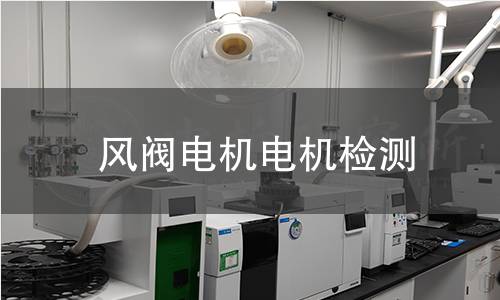 風(fēng)閥電機(jī)檢測(cè)