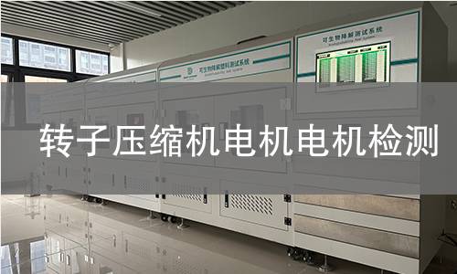 轉(zhuǎn)子壓縮機電機檢測