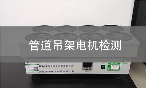 管道吊架電機(jī)檢測(cè)