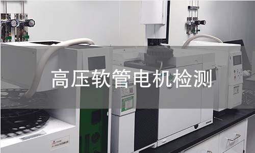 高壓軟管電機(jī)檢測(cè)