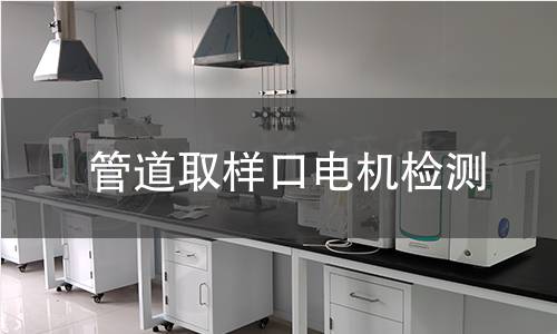管道取樣口電機(jī)檢測(cè)