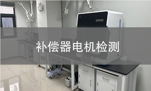 補(bǔ)償器電機(jī)檢測(cè)