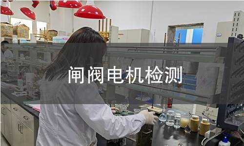 閘閥電機(jī)檢測(cè)