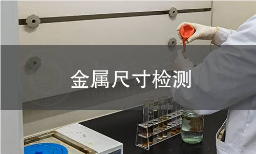 金屬尺寸檢測(cè)