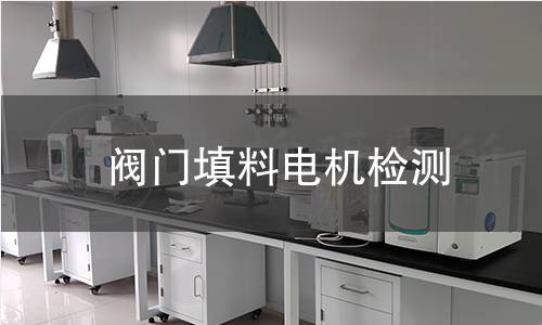 閥門填料電機(jī)檢測(cè)